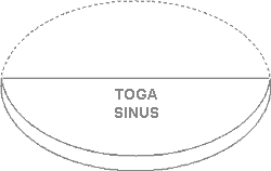 toga sinus